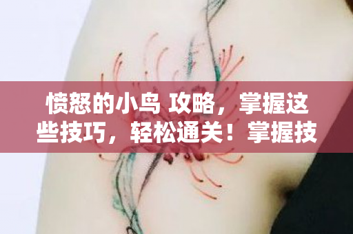 愤怒的小鸟助你轻松通关图片