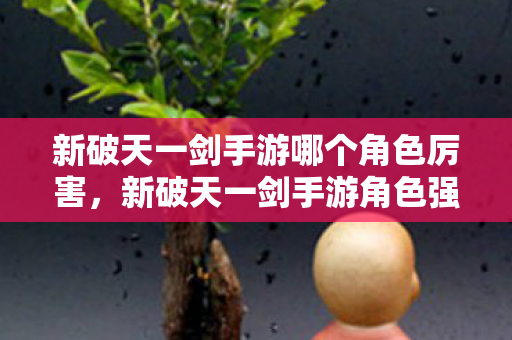 新破天一剑手游哪个角色厉害图片