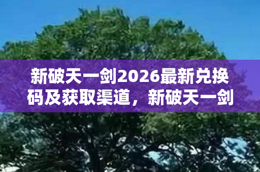 新破天一剑2026最新兑换码及获取渠道全解析图片