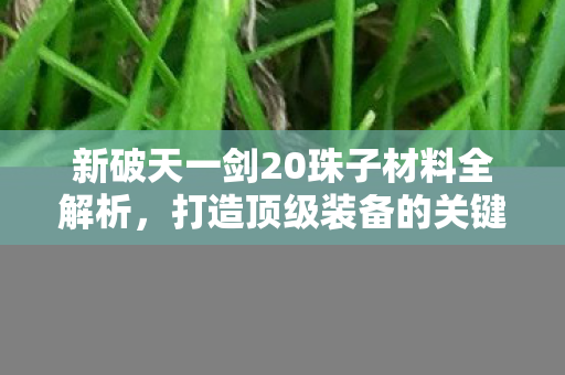 新破天一剑20珠子材料全解析图片