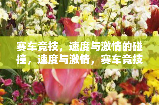 赛车竞技，速度与激情的碰撞，速度与激情，赛车竞技的震撼对决
