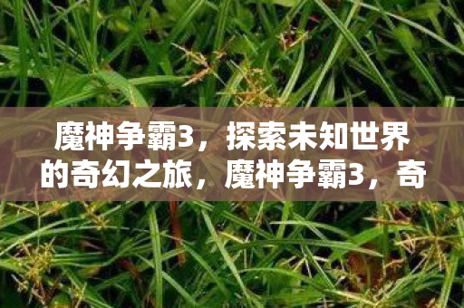 魔神争霸3，探索未知世界的奇幻之旅，魔神争霸3，奇幻世界的冒险之旅