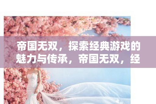 帝国无双，探索经典游戏的魅力与传承，帝国无双，经典游戏魅力与传承的探索之旅