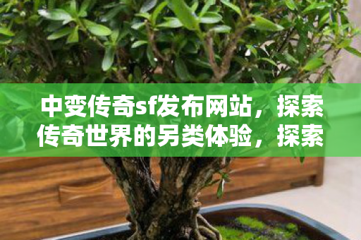 中变传奇sf发布网站，探索传奇世界的另类体验，探索传奇世界的另类体验，中变传奇sf发布网站