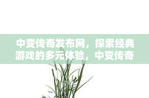 中变传奇发布网，探索经典游戏的多元体验，中变传奇发布网，探索经典游戏的多元体验