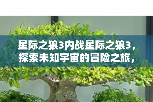 星际之狼3内战星际之狼3，探索未知宇宙的冒险之旅，星际之狼3，探索未知宇宙的冒险之旅