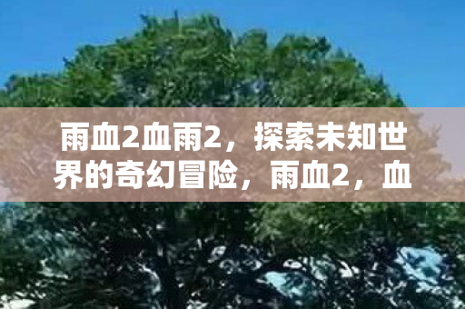 雨血2血雨2，探索未知世界的奇幻冒险，雨血2，血雨2探索未知世界的奇幻冒险之旅