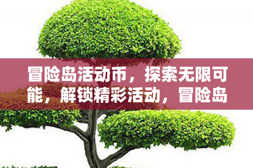 冒险岛活动币，探索无限可能，解锁精彩活动，冒险岛活动币，解锁精彩活动，探索无限可能