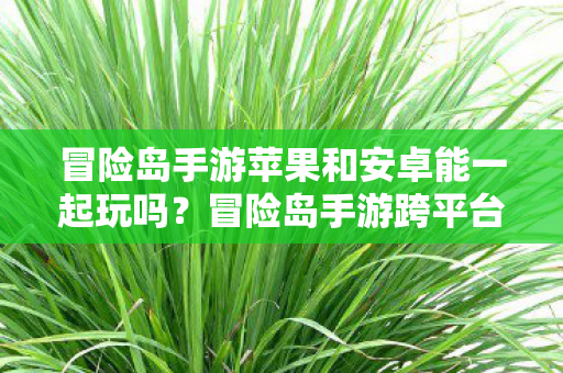 冒险岛手游苹果和安卓能一起玩吗?冒险岛手游跨平台联机攻略,苹果与安卓能否一起玩? 冒险岛手游苹果和安卓能一起玩吗?冒险岛手游跨平台联机攻略,苹果与安卓能否一起玩?