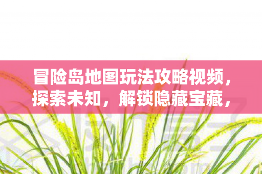 冒险岛地图玩法攻略视频，探索未知，解锁隐藏宝藏，冒险岛地图探索攻略，解锁隐藏宝藏，开启冒险之旅