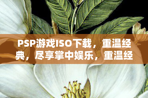 PSP游戏ISO下载，重温经典，尽享掌中娱乐，重温经典，PSP游戏ISO下载尽享掌中娱乐