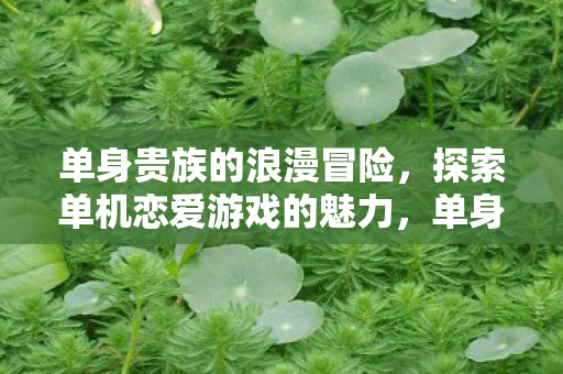 单身贵族的浪漫冒险，探索单机恋爱游戏的魅力，单身贵族的浪漫冒险，探索单机恋爱游戏的独特魅力