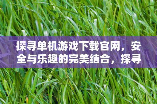 探寻单机游戏下载官网,安全与乐趣的完美结合,探寻单机游戏下载官网,安全与乐趣的完美结合 探寻单机游戏下载官网,安全与乐趣的完美结合,探寻单机游戏下载官网,安全与乐趣的完美结合