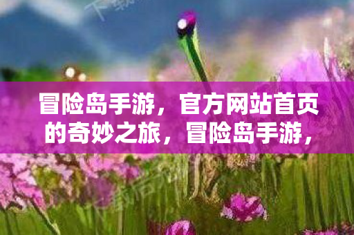 官方网站首页的奇妙之旅图片