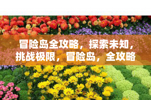 冒险岛全攻略,探索未知,挑战极限,冒险岛,全攻略助你探索未知,挑战极限 冒险岛全攻略,探索未知,挑战极限,冒险岛,全攻略助你探索未知,挑战极限