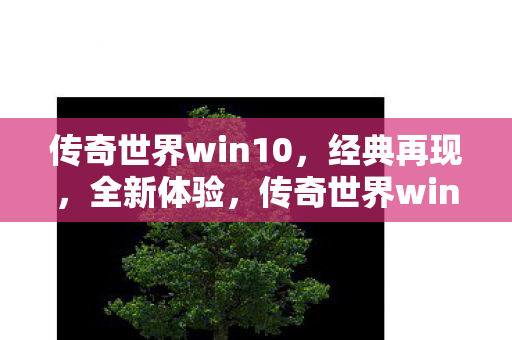 传奇世界win10，经典再现，全新体验，传奇世界win10，经典再现，全新体验