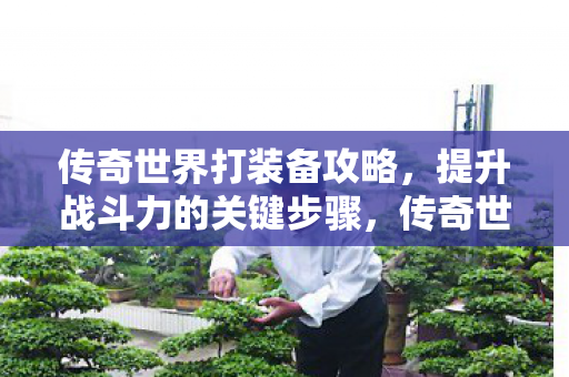 提升战斗力的关键步骤图片