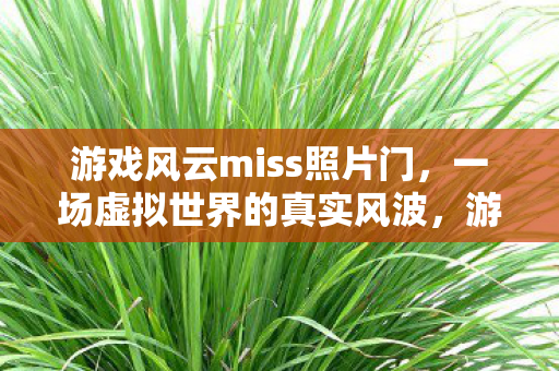 游戏风云miss照片门，一场虚拟世界的真实风波，游戏风云miss照片门，虚拟世界中的真实风波