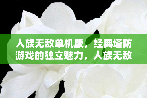 人族无敌单机版，经典塔防游戏的独立魅力，人族无敌单机版，经典塔防游戏的独立魅力展现
