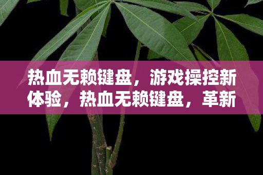 热血无赖键盘，游戏操控新体验，热血无赖键盘，革新游戏体验，掌控自如