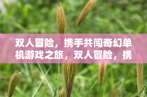 双人冒险，携手共闯奇幻单机游戏之旅，双人冒险，携手共闯奇幻单机游戏之旅