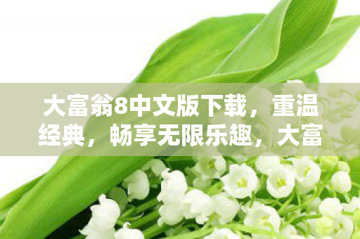 大富翁8中文版下载，重温经典，畅享无限乐趣，大富翁8中文版下载，重温经典，畅享无限乐趣