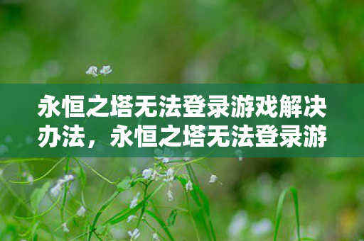 永恒之塔无法登录游戏解决办法图片
