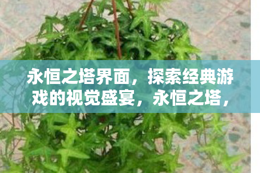 探索经典游戏的视觉盛宴图片
