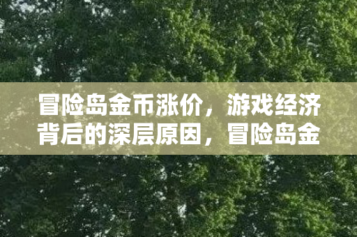 冒险岛金币涨价，游戏经济背后的深层原因，冒险岛金币涨价背后的游戏经济秘密