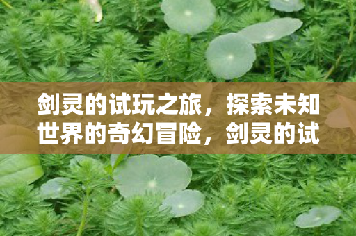 剑灵的试玩之旅,探索未知世界的奇幻冒险,剑灵的试玩之旅,探索未知世界的奇幻冒险 剑灵的试玩之旅,探索未知世界的奇幻冒险,剑灵的试玩之旅,探索未知世界的奇幻冒险