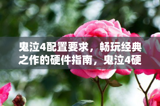 鬼泣4配置要求,畅玩经典之作的硬件指南,鬼泣4硬件需求,畅玩经典之作的必备配置指南 鬼泣4配置要求,畅玩经典之作的硬件指南,鬼泣4硬件需求,畅玩经典之作的必备配置指南