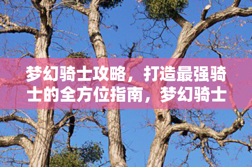 梦幻骑士攻略,打造最强骑士的全方位指南,梦幻骑士,打造最强骑士的全方位攻略 梦幻骑士攻略,打造最强骑士的全方位指南,梦幻骑士,打造最强骑士的全方位攻略