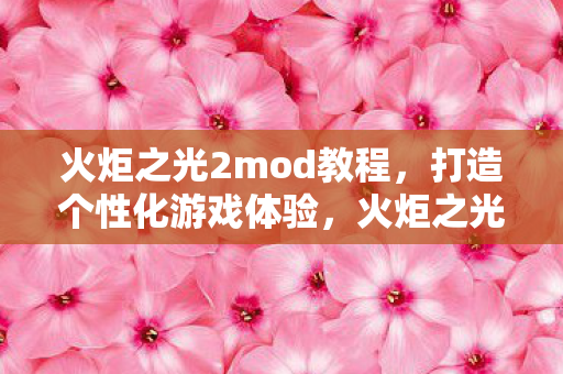 火炬之光2mod教程，打造个性化游戏体验，火炬之光2MOD教程，打造个性化游戏体验