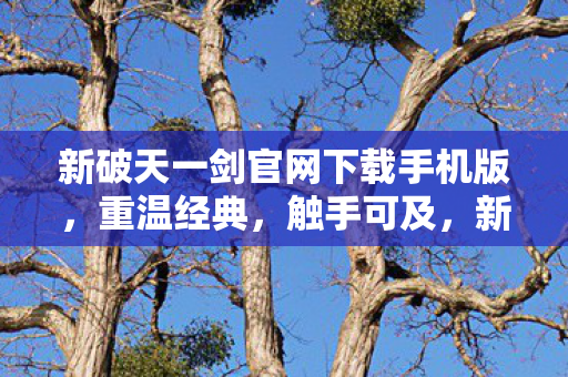 新破天一剑官网下载手机版图片