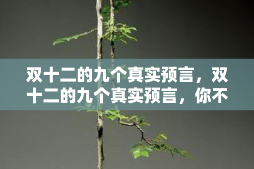 双十二的九个真实预言,双十二的九个真实预言,你不可不知的购物狂欢节趋势 双十二的九个真实预言,双十二的九个真实预言,你不可不知的购物狂欢节趋势