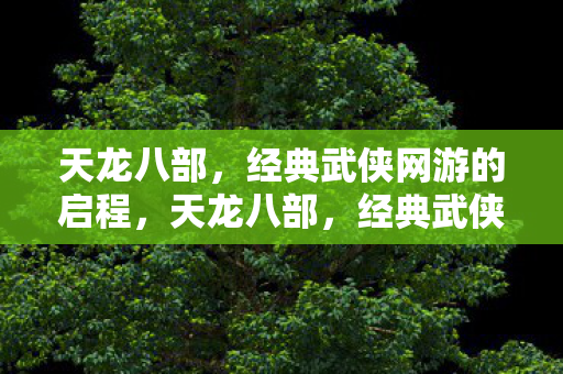 经典武侠网游的启程图片