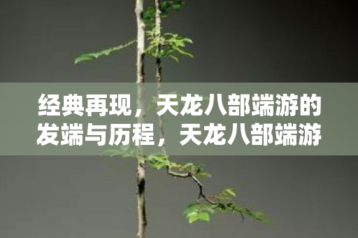 天龙八部端游的发端与历程图片