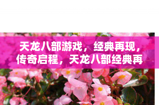 天龙八部游戏,经典再现,传奇启程,天龙八部经典再现,传奇启程 天龙八部游戏,经典再现,传奇启程,天龙八部经典再现,传奇启程