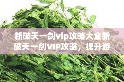 新破天一剑vip攻略大全新破天一剑VIP攻略图片