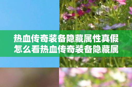 热血传奇装备隐藏属性真假怎么看热血传奇装备隐藏属性真假图片