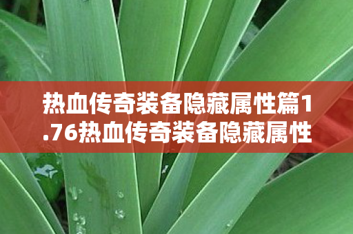 76热血传奇装备隐藏属性揭秘图片