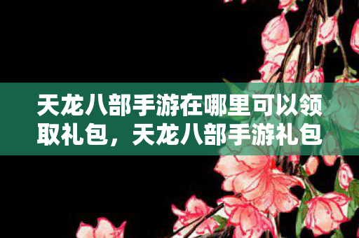 天龙八部手游在哪里可以领取礼包图片