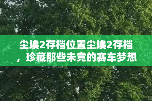 尘埃2存档位置尘埃2存档,珍藏那些未竟的赛车梦想,尘埃2存档,珍藏未竟的赛车梦想 尘埃2存档位置尘埃2存档,珍藏那些未竟的赛车梦想,尘埃2存档,珍藏未竟的赛车梦想