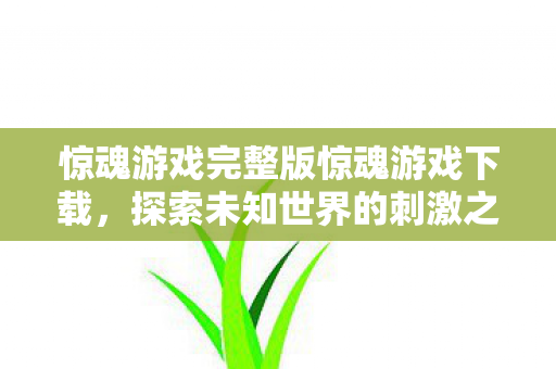 惊魂游戏完整版惊魂游戏下载,探索未知世界的刺激之旅,惊魂游戏完整版下载,探索未知世界的刺激之旅 惊魂游戏完整版惊魂游戏下载,探索未知世界的刺激之旅,惊魂游戏完整版下载,探索未知世界的刺激之旅