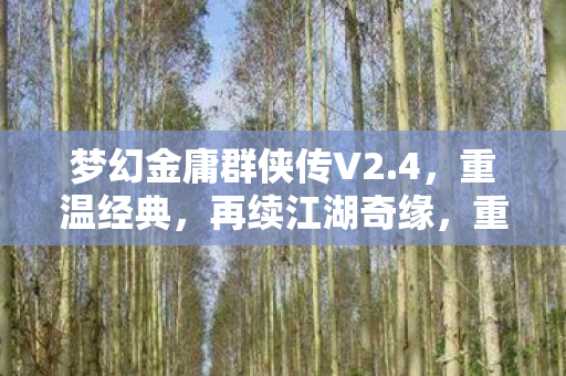 梦幻金庸群侠传V2.4,重温经典,再续江湖奇缘,重温经典,再续江湖奇缘,梦幻金庸群侠传V2.4 梦幻金庸群侠传V2.4,重温经典,再续江湖奇缘,重温经典,再续江湖奇缘,梦幻金庸群侠传V2.4