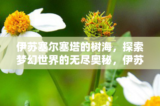 伊苏塞尔塞塔的树海，探索梦幻世界的无尽奥秘，伊苏塞尔塞塔，树海中的梦幻世界奥秘