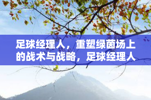 足球经理人，重塑绿茵场上的战术与战略，足球经理人，重塑绿茵场上的战术与战略