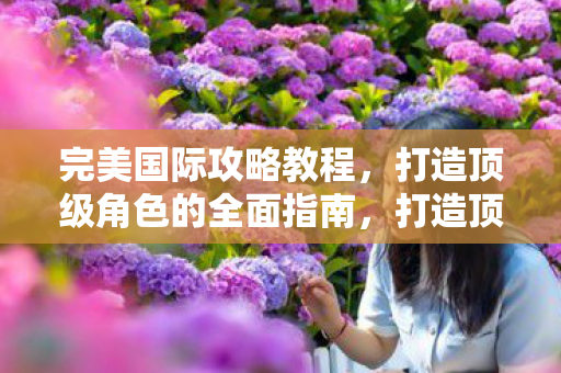 完美国际攻略教程,打造顶级角色的全面指南,打造顶级角色,完美国际攻略教程全面指南 完美国际攻略教程,打造顶级角色的全面指南,打造顶级角色,完美国际攻略教程全面指南
