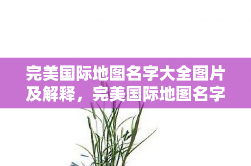完美国际地图名字大全图片及解释图片