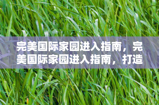 完美国际家园进入指南，完美国际家园进入指南，打造理想家园，开启完美生活！